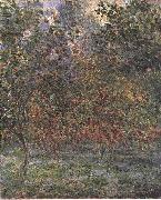 Claude Monet The Lemon Grove in Bordighera oil